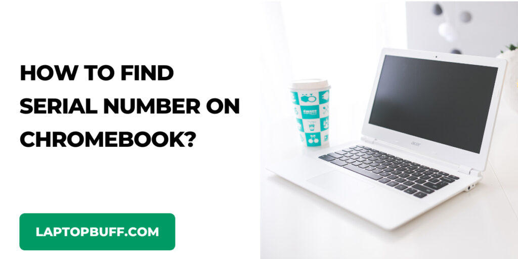 How To Find Serial Number On Chromebook If Sticker Is Missing Laptop Buff how-to-find-serial-number-on-chromebook-if-sticker-is-missing-laptop-buff