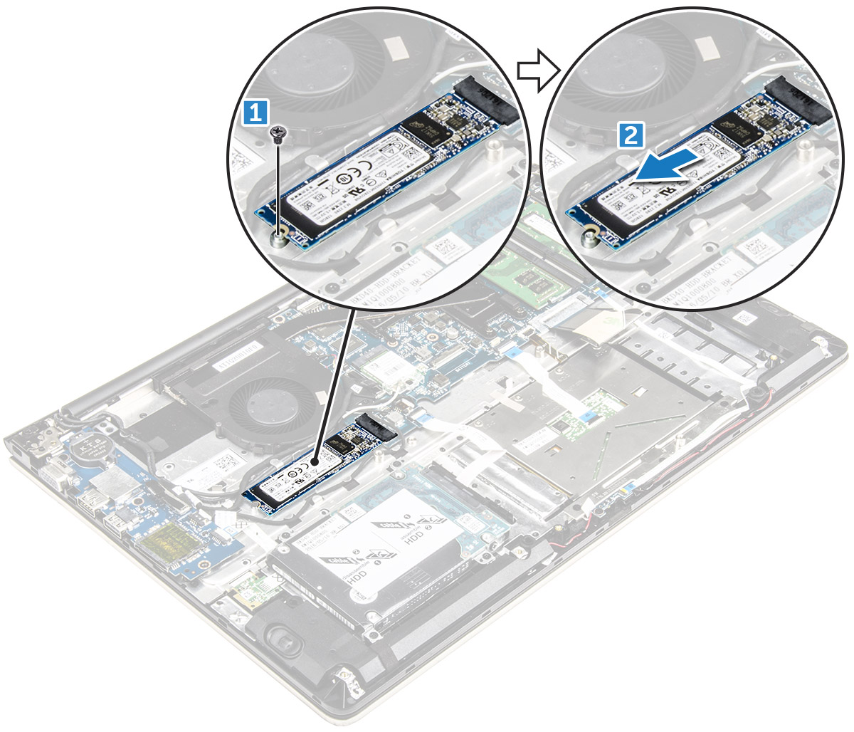 M.2 SSD Slot on motherboard in dell laptops